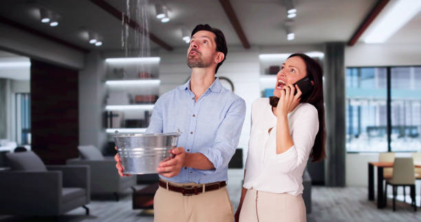 Best Water damage contractors near me  in Mcsherrystown, PA
