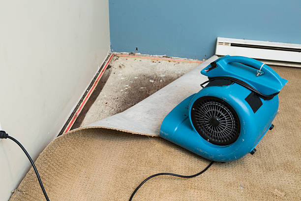 Best Water damage restoration near me  in Mcsherrystown, PA